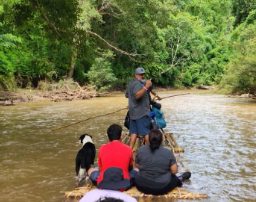 Wild Water & Tribal Way (with LocalRoot Guide)