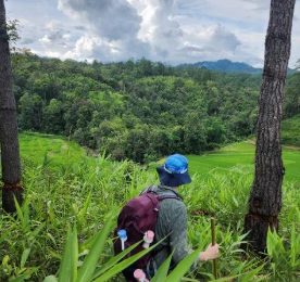 Into the Highlands: Waterfall Village Trek