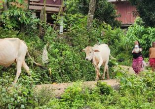 The Karen Village Immersion Trek